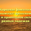 Корневая фамилия Гаммершмидт: происхождение, история и правильное склонение в разных падежах