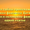 Откройте тайны происхождения и значения фамилии Догадин — история и склонение фамилии в одной статье