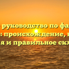 Полное руководство по фамилии Абациев: происхождение, история, значения и правильное склонение.