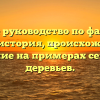 Полное руководство по фамилии Аукин: история, происхождение и склонение на примерах семейных деревьев.