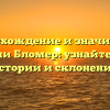 Происхождение и значимость фамилии Бломер: узнайте все о ее истории и склонении