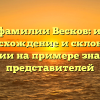Тайны фамилии Весков: история, происхождение и склонение фамилии на примере значимых представителей