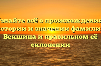 Узнайте всё о происхождении, истории и значении фамилии Векшина и правильном её склонении