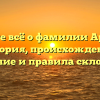 Узнайте всё о фамилии Арсалан: история, происхождение, значение и правила склонения