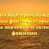 Фамилия Ака: происхождение и ключевые факты, которые стоит знать о значении и склонении фамилии