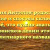 Фамилия Антилов: родословная, значение и способы склонения – всё, что нужно знать о происхождении этого фамилиарного названия!