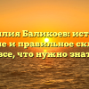 Фамилия Баликоев: история, значение и правильное склонение — все, что нужно знать!