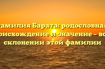 Фамилия Барата: родословная, происхождение и значение – все о склонении этой фамилии
