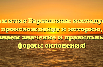 Фамилия Барбашина: исследуем происхождение и историю, узнаем значение и правильные формы склонения!