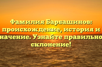 Фамилия Барбашинов: происхождение, история и значение. Узнайте правильное склонение!