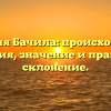 Фамилия Бачила: происхождение и история, значение и правильное склонение.