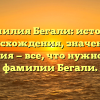 Фамилия Бегали: история происхождения, значения и склонения — все, что нужно знать о фамилии Бегали.