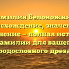 Фамилия Белоножкин: происхождение, значение и склонение — полная история фамилии для вашего родословного древа