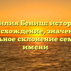 Фамилия Бениш: история и происхождение, значение и правильное склонение семейного имени