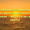 Фамилия Бобович: происхождение и история, значимость и склонение — все, что вы хотели знать!