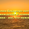 Фамилия Бокариус: история, происхождение и особенности склонения – все, что нужно знать