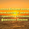 Фамилия Бокоев: история, происхождение и значения, а также правила склонения для фамилии Бокоев