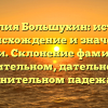 Фамилия Большухин: история, происхождение и значения имени. Склонение фамилии в родительном, дательном и винительном падежах.