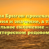 Фамилия Бригов: происхождение, история и значение, а также правильное склонение — все об этом интересном родовом имени