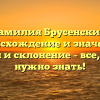 Фамилия Брусенский: происхождение и значение, история и склонение – все, что вам нужно знать!