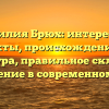 Фамилия Брюх: интересные факты, происхождение и структура, правильное склонение и значение в современном мире