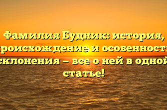 Фамилия Будник: история, происхождение и особенности склонения — все о ней в одной статье!