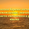 Фамилия Бурень: история происхождения, значение и особенности склонения в русском языке
