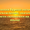 Фамилия Буриш: история происхождения, значение и особенности склонения на русском языке