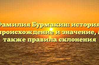 Фамилия Бурмакин: история, происхождение и значение, а также правила склонения