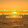 Фамилия Вахидов: исторический обзор, значения и правила склонения