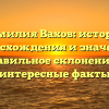 Фамилия Вахов: история происхождения и значения, правильное склонение и интересные факты