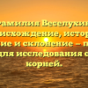 Фамилия Веселухин: происхождение, история, значение и склонение — полный гид для исследования своих корней.