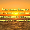 Фамилия Видур: историко-генеалогический обзор происхождения, значения и правильного склонения фамилии