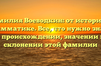 Фамилия Воеводкин: от истории к грамматике. Все, что нужно знать о происхождении, значении и склонении этой фамилии