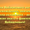 Фамилия Войналович: история и происхождение, значения и правила склонения — все, что нужно знать о фамилии Войналович!