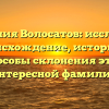 Фамилия Волосатов: исследуем происхождение, историю и способы склонения этой интересной фамилии