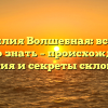 Фамилия Волшебная: все, что нужно знать – происхождение, история и секреты склонения