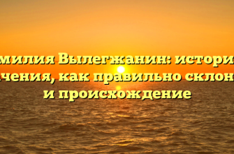 Фамилия Вылегжанин: история и значения, как правильно склонять и происхождение