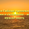 Фамилия Гайсан: происхождение, история и склонение – всё, что нужно знать