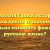 Фамилия Гаянэ: история, происхождение и значение. Как правильно склонять фамилию в русском языке?
