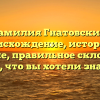 Фамилия Гнатовский: происхождение, история и значение, правильное склонение — все, что вы хотели знать!