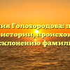Фамилия Голобородова: полный гайд по истории, происхождению и склонению фамилии