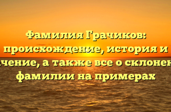 Фамилия Грачиков: происхождение, история и значение, а также все о склонении фамилии на примерах