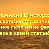 Фамилия Д: история происхождения, значение и правильное склонение фамилии — все в одной статье!