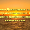 Фамилия Давитиани: полный гайд по происхождению, истории и значению фамилии вместе со склонением