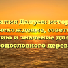 Фамилия Дадуев: история и происхождение, советы по склонению и значение для вашего родословного дерева