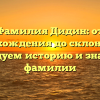 Фамилия Дидин: от происхождения до склонения — исследуем историю и значение фамилии