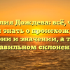 Фамилия Дождева: всё, что вы хотели знать о происхождении, истории и значении, а также правильном склонении