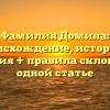Фамилия Домина: происхождение, история и значения + правила склонения в одной статье