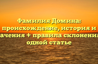 Фамилия Домина: происхождение, история и значения + правила склонения в одной статье